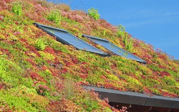 Southgate living roof systems
