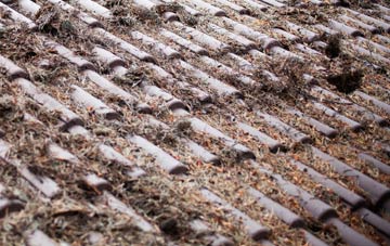 Southgate roof cleaning companies